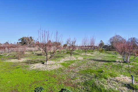 25450 County Road 95, Davis, CA 95616 photo 49