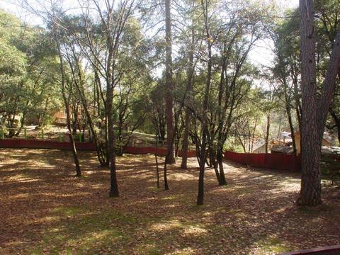 24030 Forest Ave, Colfax, CA 95713 photo 11