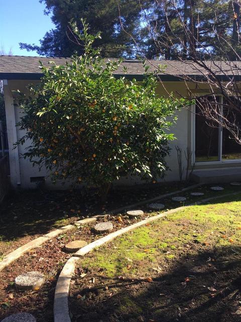 2931 Layton Dr, Davis, CA 95618 photo 22