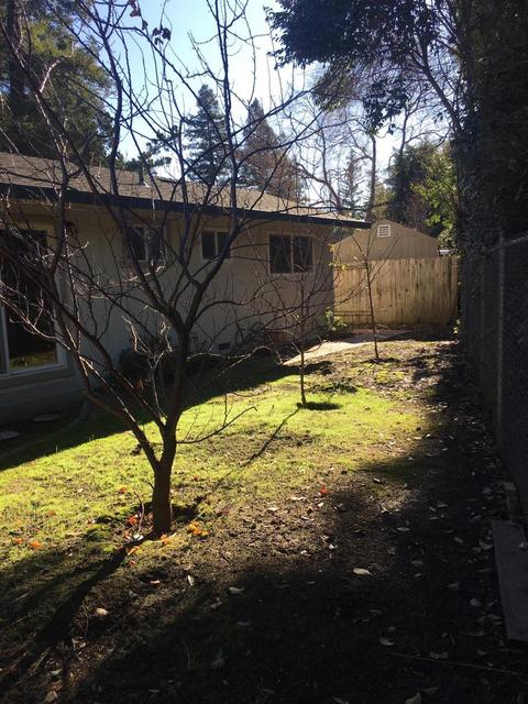 2931 Layton Dr, Davis, CA 95618 photo 20