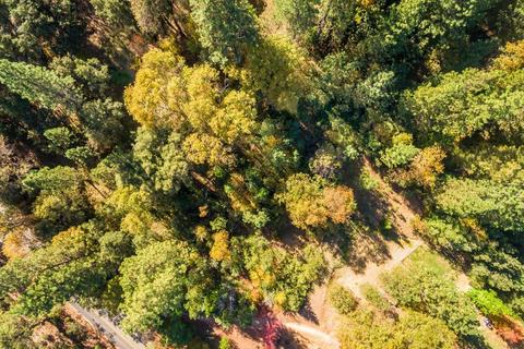13551 Tabeaud Rd, Pine Grove, CA 95665 photo 43