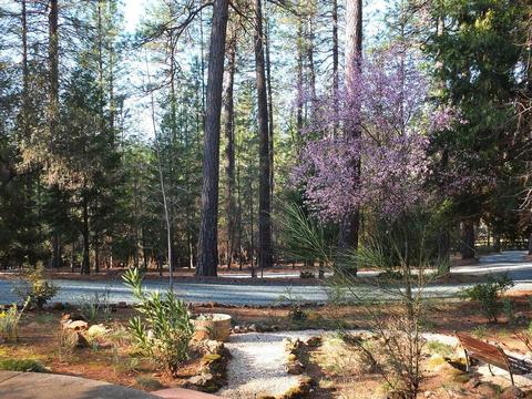 13615 Khalid Ct, Grass Valley, CA 95949 photo 44