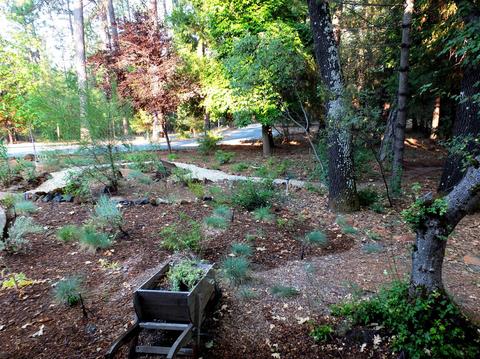 13615 Khalid Ct, Grass Valley, CA 95949 photo 42