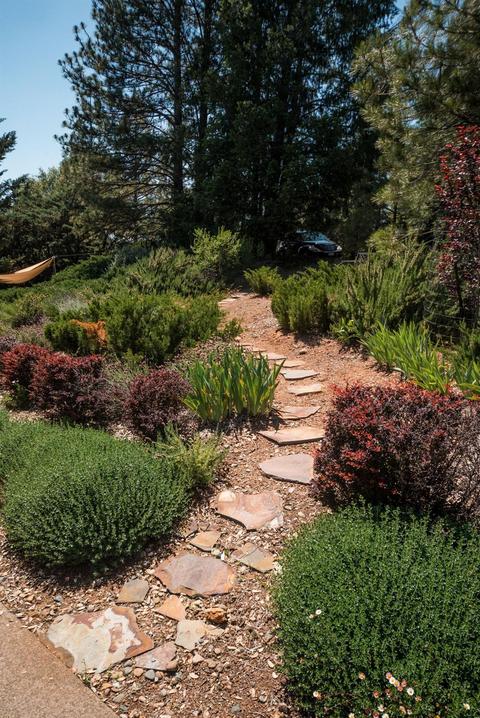 2457 Cascade Trl, Cool, CA 95614 photo 56