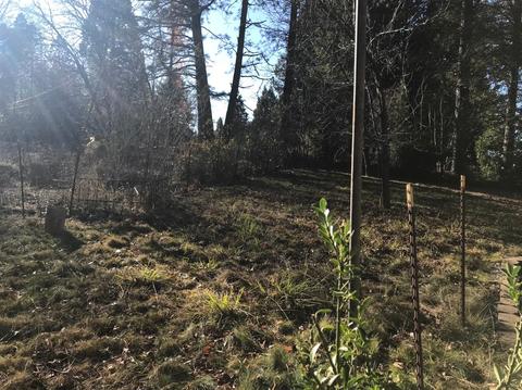 12396 Allison Ranch St, Grass Valley, CA 95949 photo 18