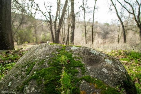 Undisclosed, Dobbins, CA 95935 photo 20
