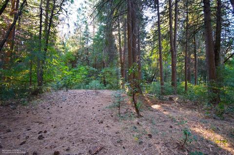15539 Cascade Loop, Nevada City, CA 95959 photo 2