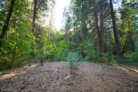 15539 Cascade Loop, Nevada City, CA 95959 photo 3