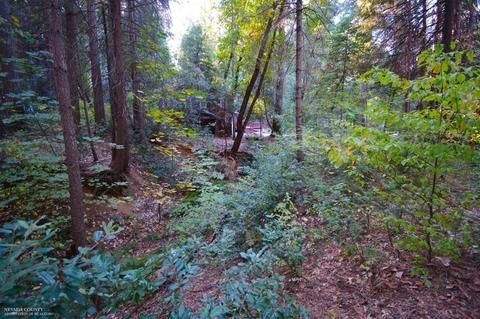15539 Cascade Loop, Nevada City, CA 95959 photo 5