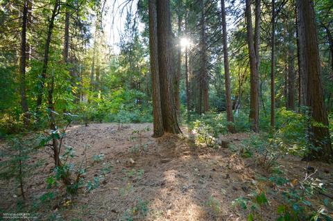 15539 Cascade Loop, Nevada City, CA 95959 photo 1