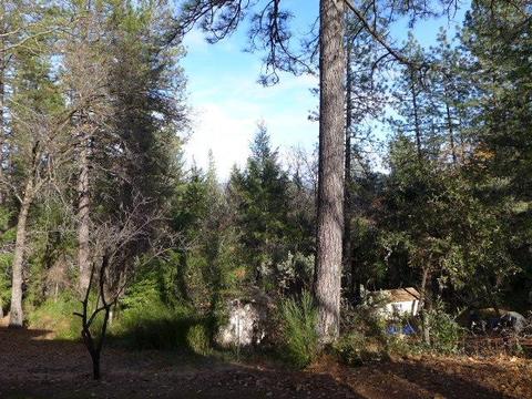 325 Fillmore Ave, Colfax, CA 95713 photo 34