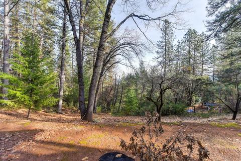 325 Fillmore Ave, Colfax, CA 95713 photo 30