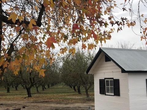 28939 Lemon Ave, Escalon, CA 95320 photo 37