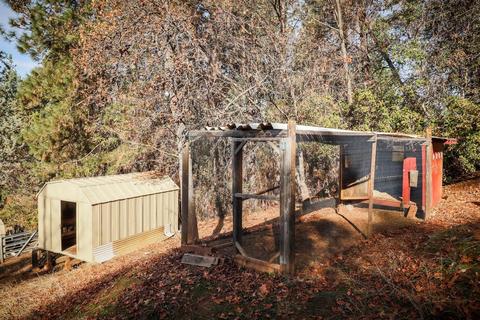 11272 Upper Previtali Rd, Jackson, CA 95642 photo 32