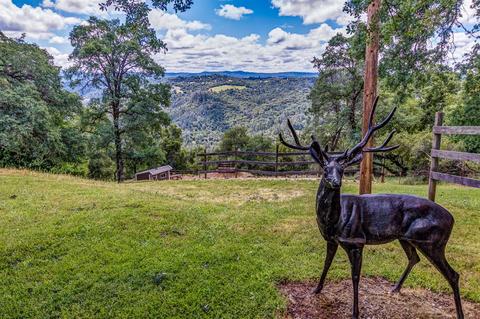 5201 Metate Trl, Placerville, CA 95667 photo 44
