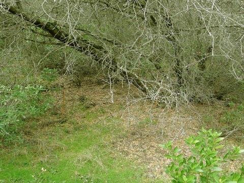 7655 La Porte Rd, Rackerby, CA 95972 photo 5