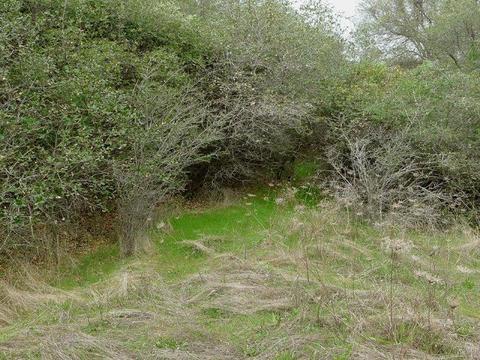 7655 La Porte Rd, Rackerby, CA 95972 photo 2