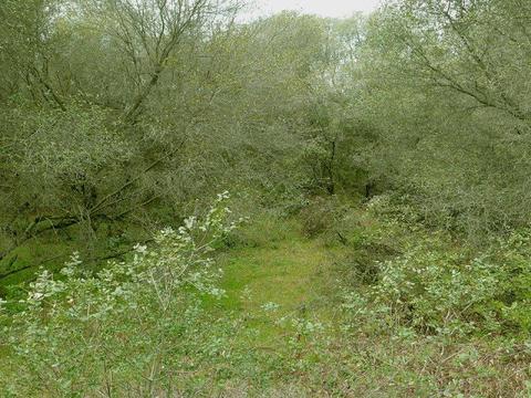 7655 La Porte Rd, Rackerby, CA 95972 photo 10