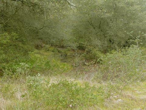 7655 La Porte Rd, Rackerby, CA 95972 photo 7