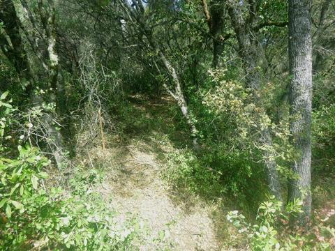 7655 La Porte Rd, Rackerby, CA 95972 photo 20