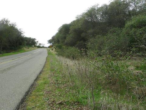 7655 La Porte Rd, Rackerby, CA 95972 photo 30