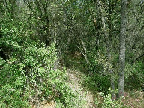 7655 La Porte Rd, Rackerby, CA 95972 photo 21