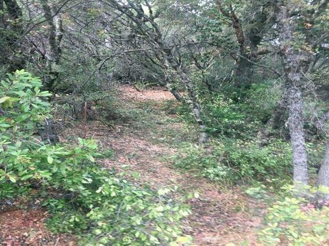 7655 La Porte Rd, Rackerby, CA 95972 photo 1