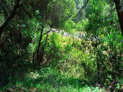 7655 La Porte Rd, Rackerby, CA 95972 photo 11