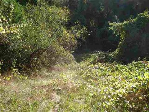 7655 La Porte Rd, Rackerby, CA 95972 photo 13