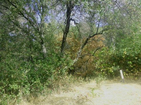 7655 La Porte Rd, Rackerby, CA 95972 photo 18