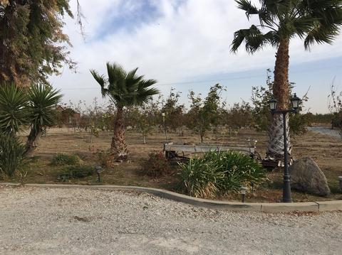 13513 Sycamore Ave, Patterson, CA 95363 photo 13