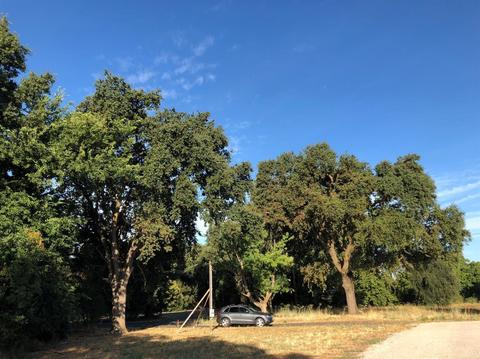 38392 La Rue, Davis, CA 95616 photo 1