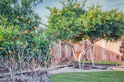 1384 Mitchell Ln, Manteca, CA 95336 photo 28