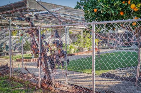 1384 Mitchell Ln, Manteca, CA 95336 photo 32