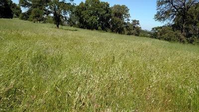 17984 Perimeter Rd, Grass Valley, CA 95949 photo 7