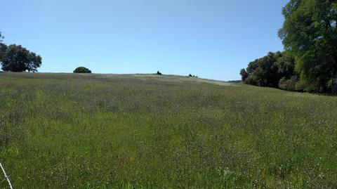 17984 Perimeter Rd, Grass Valley, CA 95949 photo 4