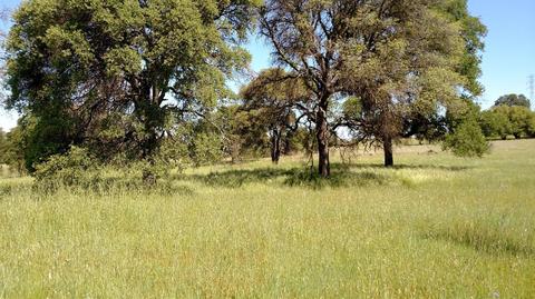 17984 Perimeter Rd, Grass Valley, CA 95949 photo 8