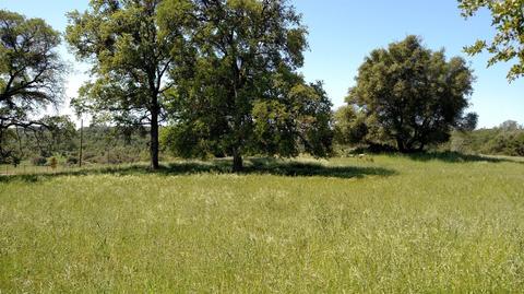 17984 Perimeter Rd, Grass Valley, CA 95949 photo 6