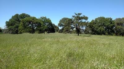 17984 Perimeter Rd, Grass Valley, CA 95949 photo 1