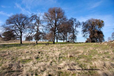 17984 Perimeter Rd, Grass Valley, CA 95949 photo 14