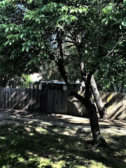 1821 Gilly Ln, Concord, CA 94518 photo 24