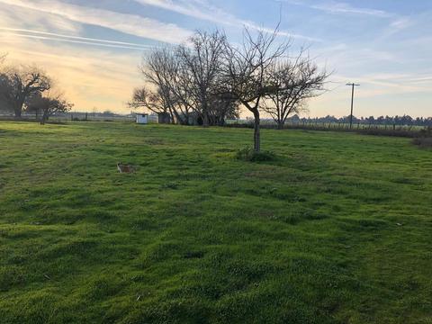9975 Griffith Ave, Delhi, CA 95315 photo 20