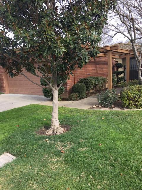 204 Gramercy Park Dr, Lodi, CA 95242 photo 1