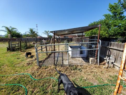 17321 Oak St, Robbins, CA 95676 photo 31