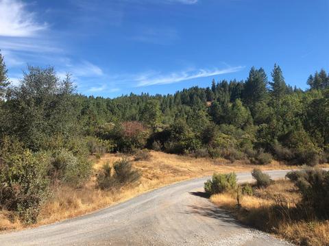 6220 Shoo Fly Rd, Placerville, CA 95667 photo 1