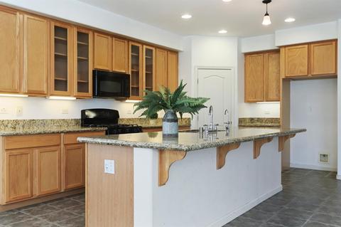 249 Cherry Blossom Ln, Patterson, CA 95363 photo 18
