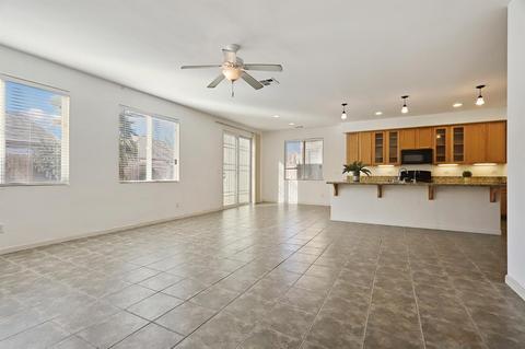 249 Cherry Blossom Ln, Patterson, CA 95363 photo 22