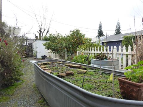 1518 Academy St, Lodi, CA 95240 photo 41