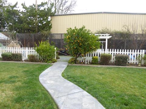 1518 Academy St, Lodi, CA 95240 photo 35