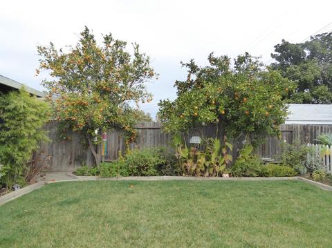 1518 Academy St, Lodi, CA 95240 photo 36
